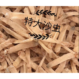 湛江海味干貨批發 口碑與折扣并存的優質之選