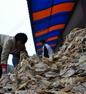 春節臨近北海干海味交易額突破千萬元