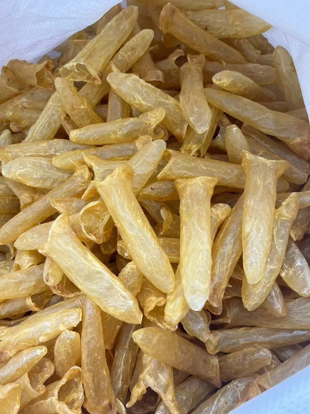 足干正品黃花筒魚膠 孕婦滋補與送禮佳品