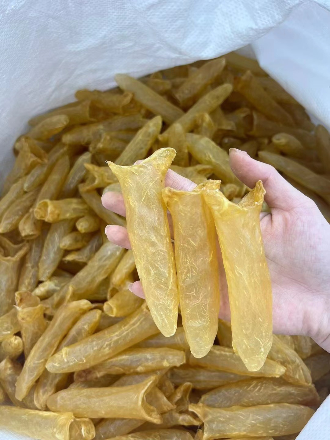 足干正品黃花筒魚膠 孕婦滋補與送禮佳品